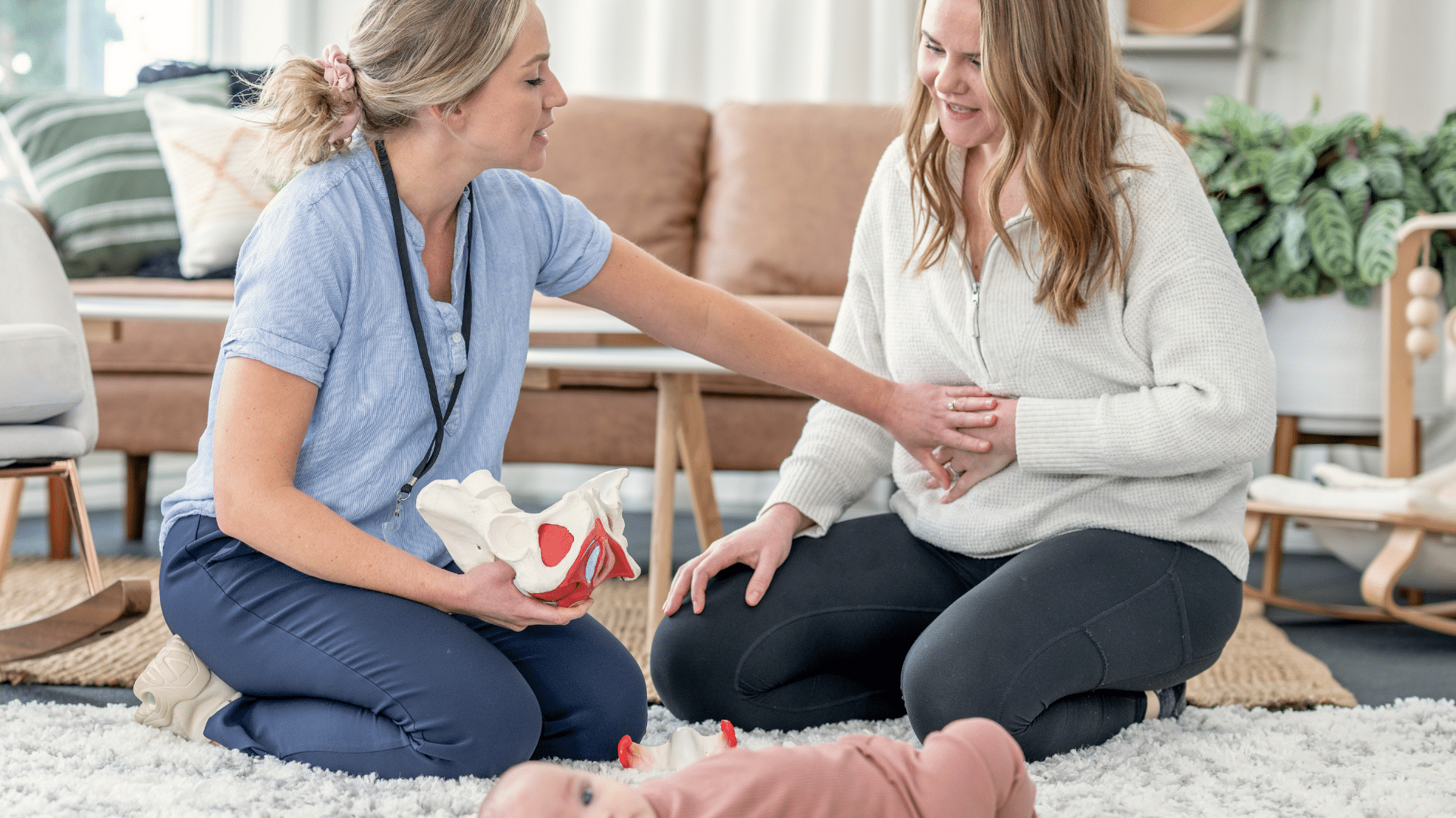 Pelvic Floor